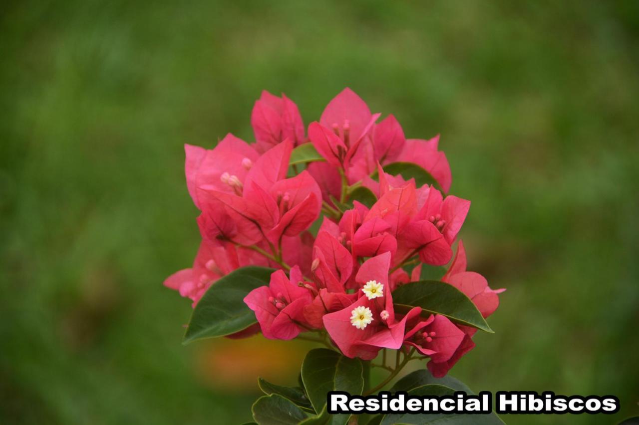 Residencial Hibiscos - Vista Mar Villa Garopaba Eksteriør bilde