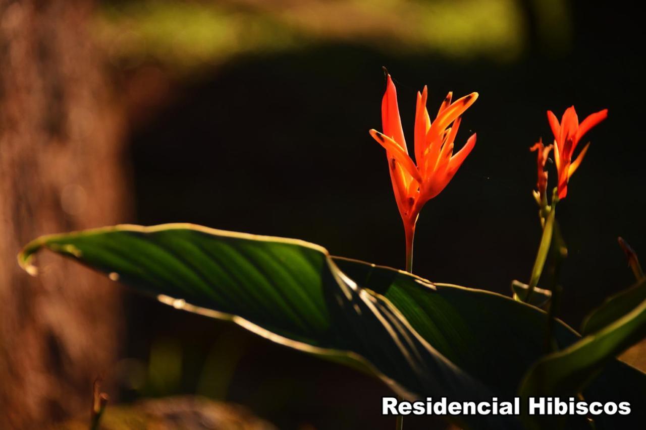 Residencial Hibiscos - Vista Mar Villa Garopaba Eksteriør bilde